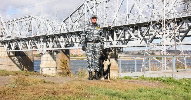 Охрана с применением собак