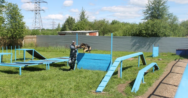Соревнования по служебному собаководству в филиале ФГП ВО ЖДТ России на Северной ж.д.