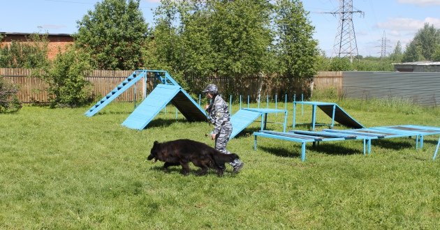 Соревнования по служебному собаководству в филиале ФГП ВО ЖДТ России на Северной ж.д.