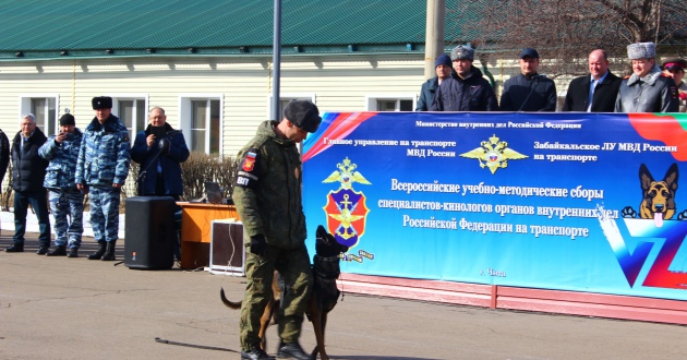 Всероссийские учебно-методические сборы специалистов-кинологов внутренних дел Российской Федерации на транспорте