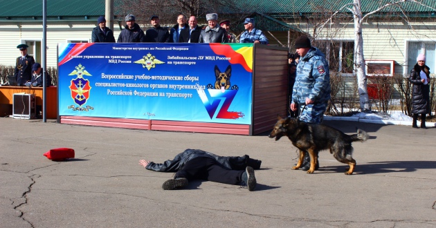 Всероссийские учебно-методические сборы специалистов-кинологов внутренних дел Российской Федерации на транспорте