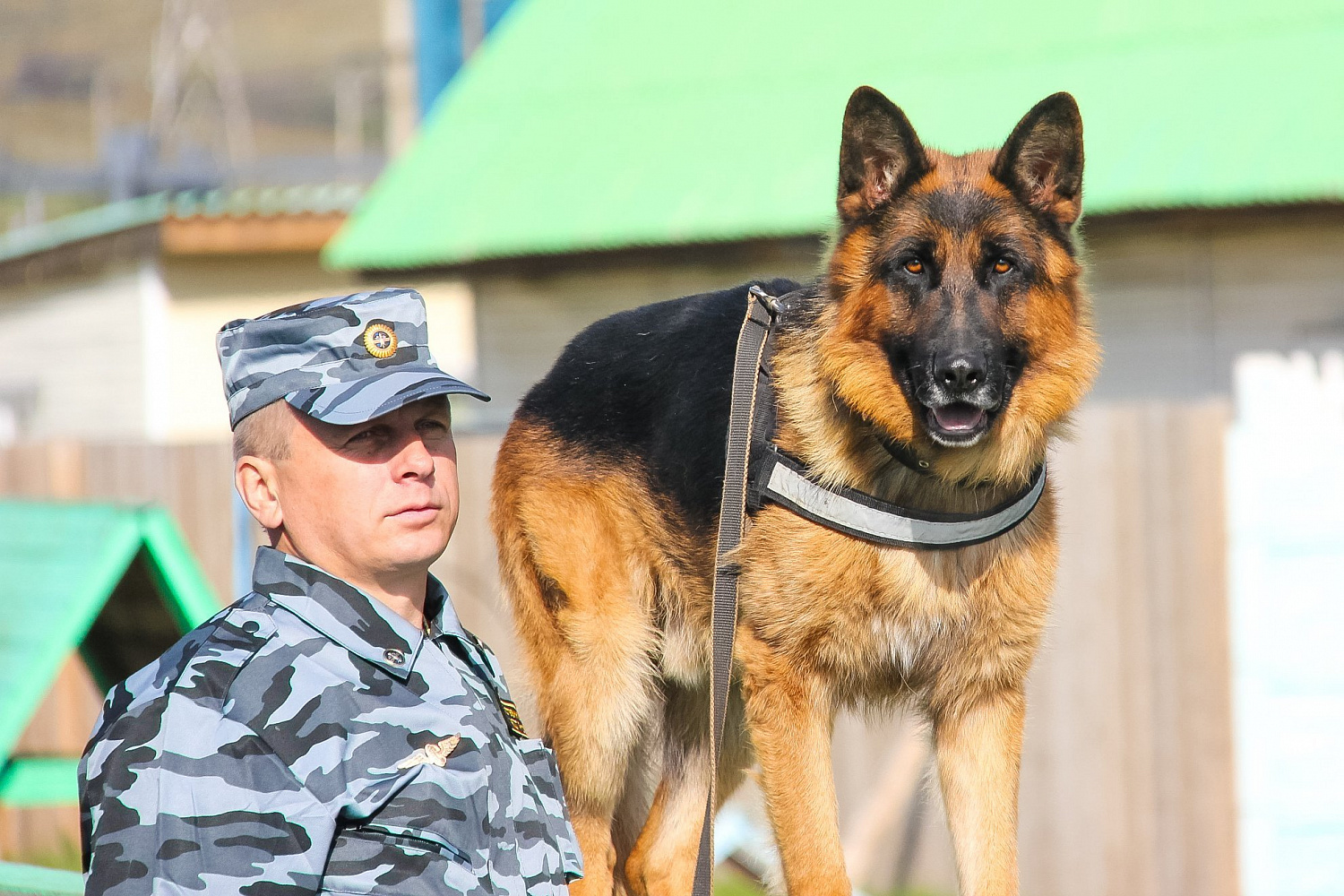 Охрана с применением собак
